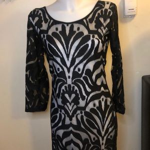 Super Cute Net Dress